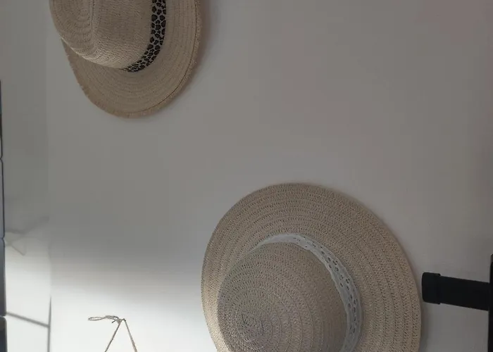 L'ambreenne 西德雷顿